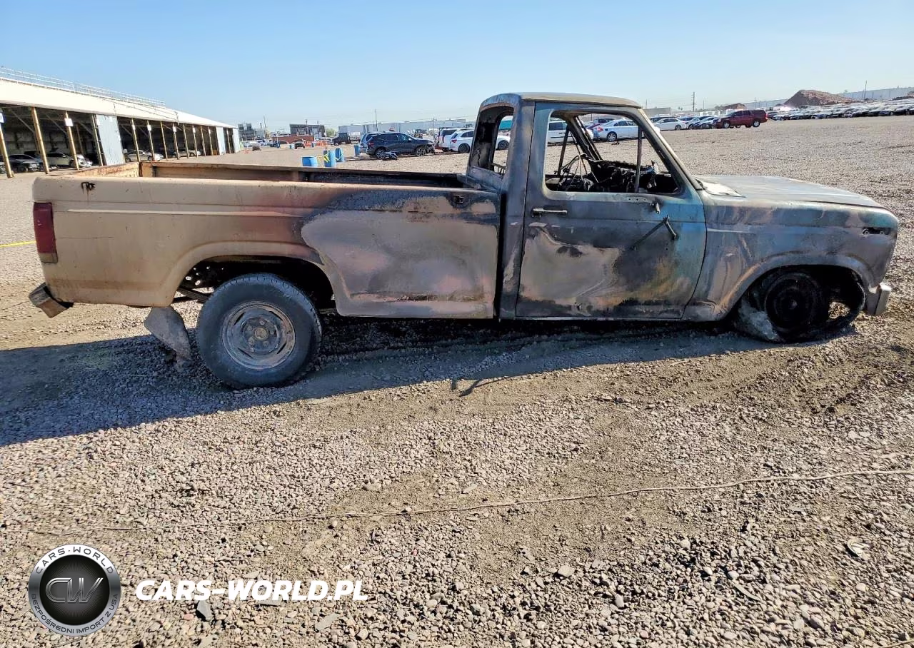 1985 Ford F150 VIN:1FTEF15Y1FPA29838 - 10