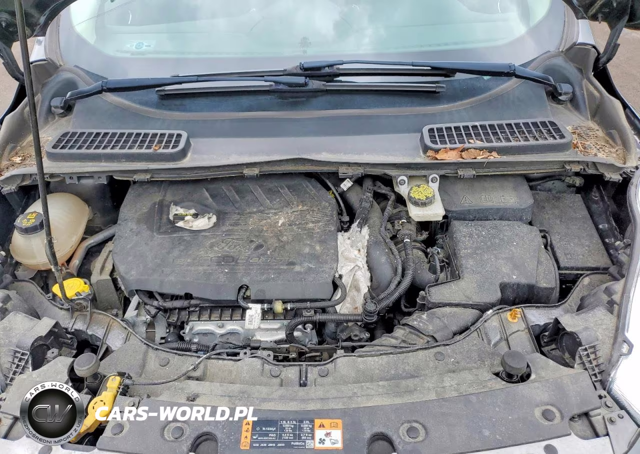 2018 Ford Escape Se VIN:1FMCU0GDXJUB23661 - 12