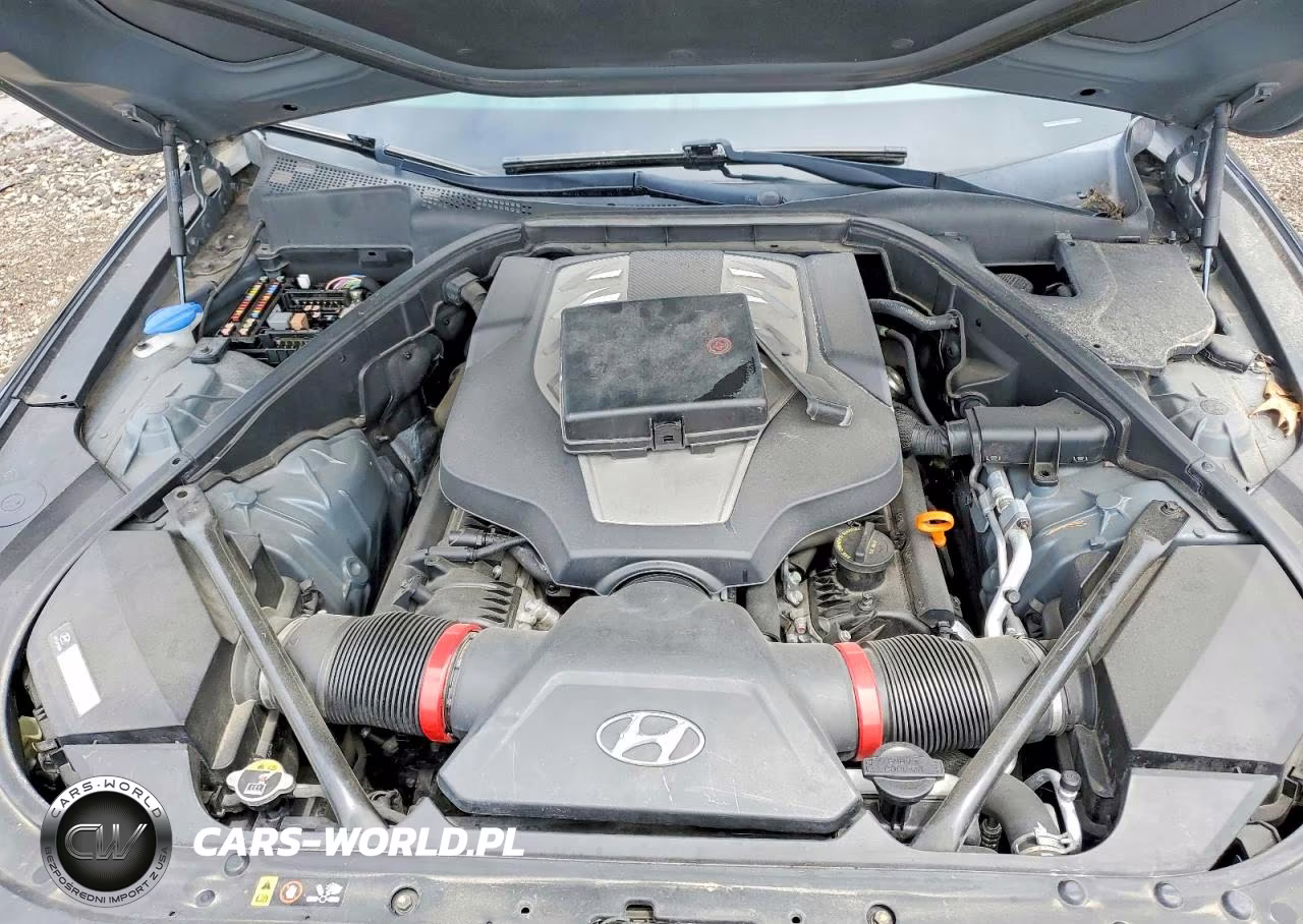 2015 Hyundai Genesis 5.0L VIN:KMHGN4JF2FU055931 - 11