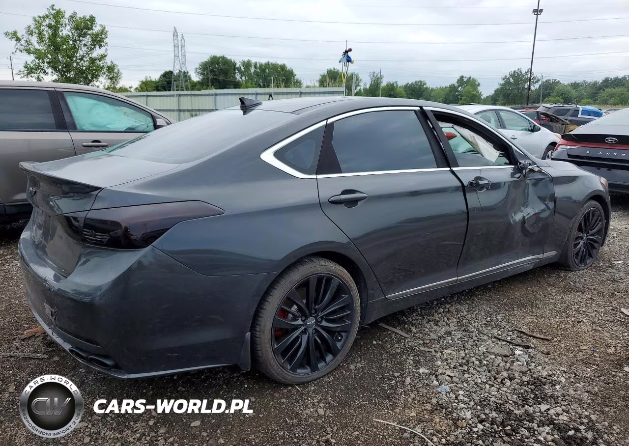 2015 Hyundai Genesis 5.0L VIN:KMHGN4JF2FU055931 - 3