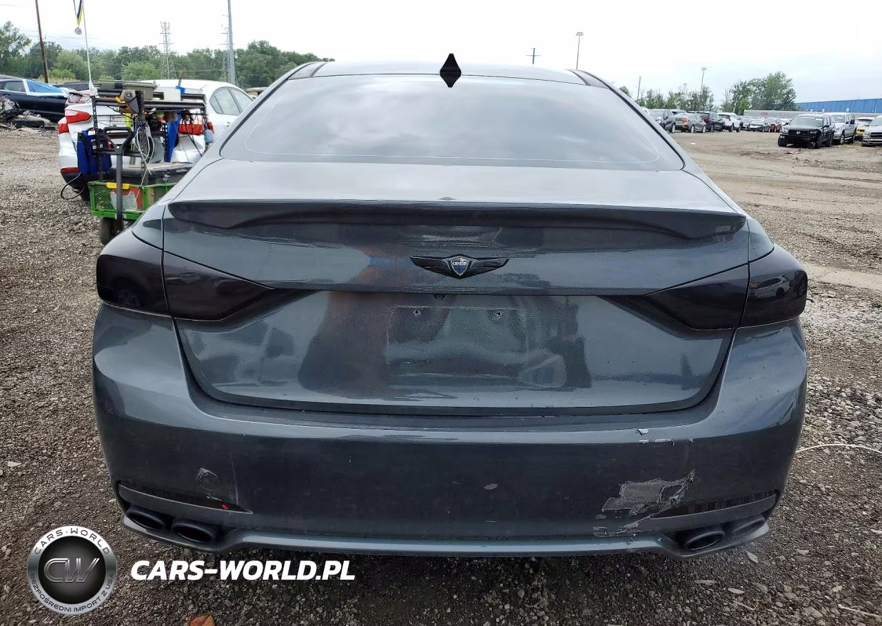 2015 Hyundai Genesis 5.0L VIN:KMHGN4JF2FU055931 - 6