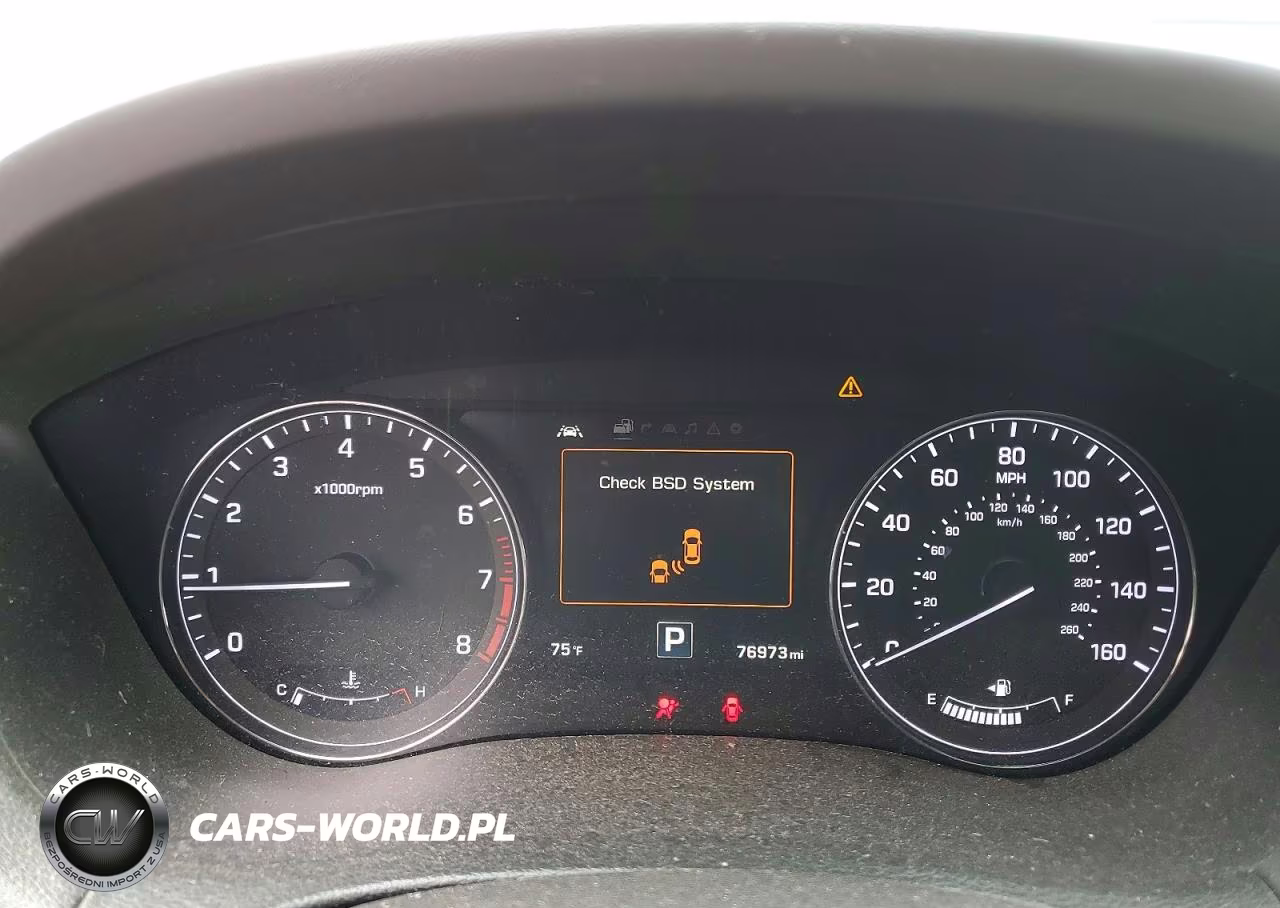 2015 Hyundai Genesis 5.0L VIN:KMHGN4JF2FU055931 - 9