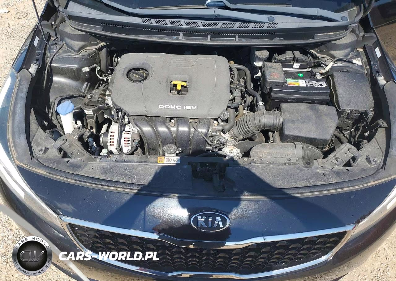 2018 Kia Forte Lx VIN:3KPFL4A78JE234240 - 11