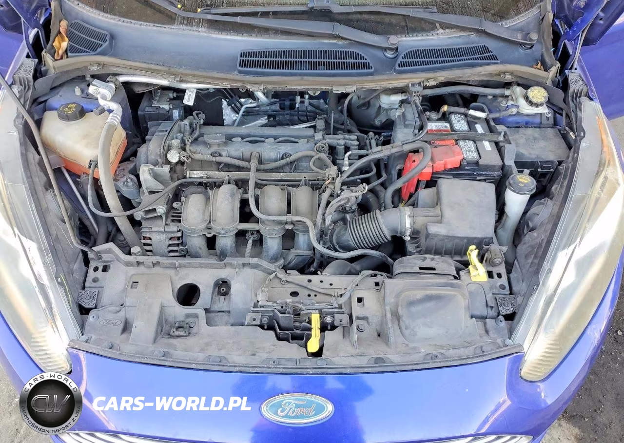 2014 Ford Fiesta Se VIN:3FADP4BJ5EM154109 - 11