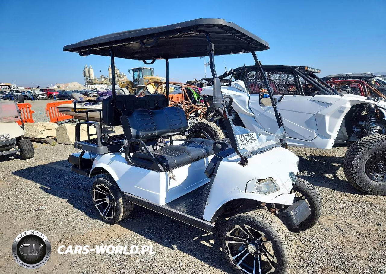2021 Evolution Golf Cart – zdjęcie 1 z 10