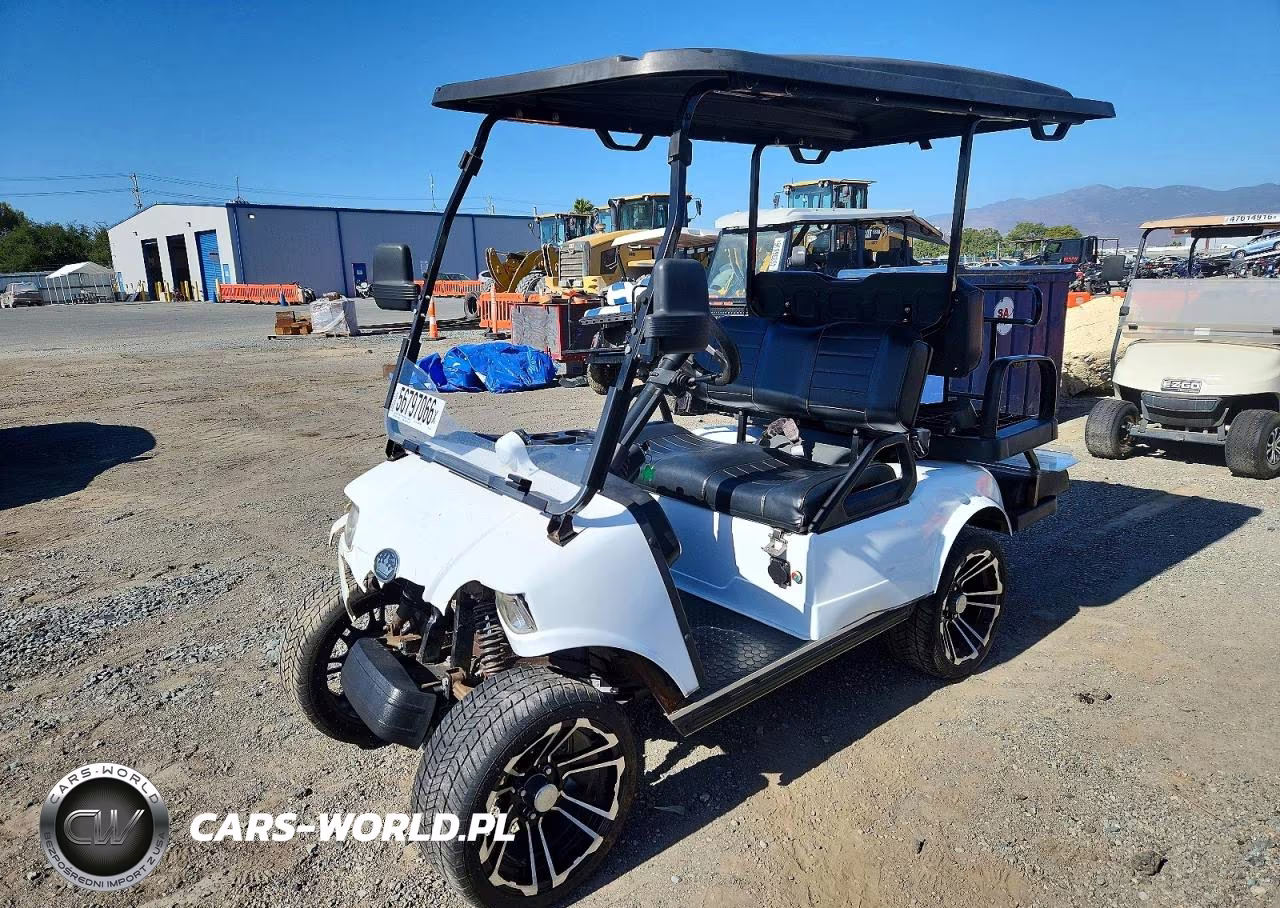 2021 Evolution Golf Cart VIN:7MZL20828MC002915 - 2