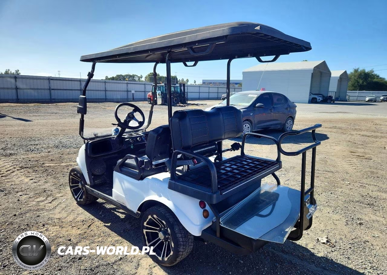 2021 Evolution Golf Cart VIN:7MZL20828MC002915 - 3
