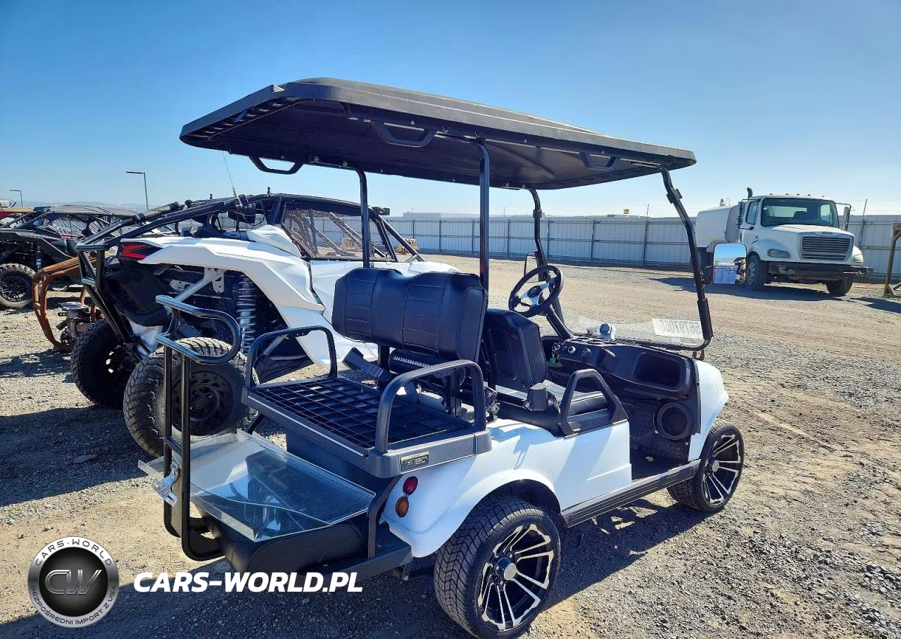 2021 Evolution Golf Cart VIN:7MZL20828MC002915 - 4