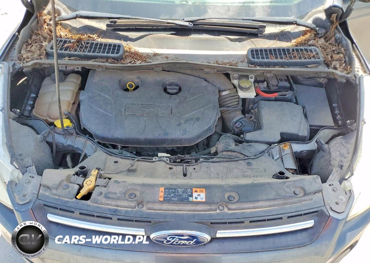 2015 Ford Escape Se VIN:1FMCU0G9XFUA44980 - 12
