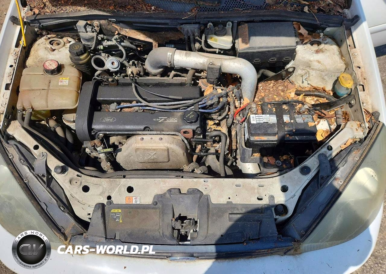 2003 Ford Focus Zx5 VIN:3FAHP37323R133658 - 11