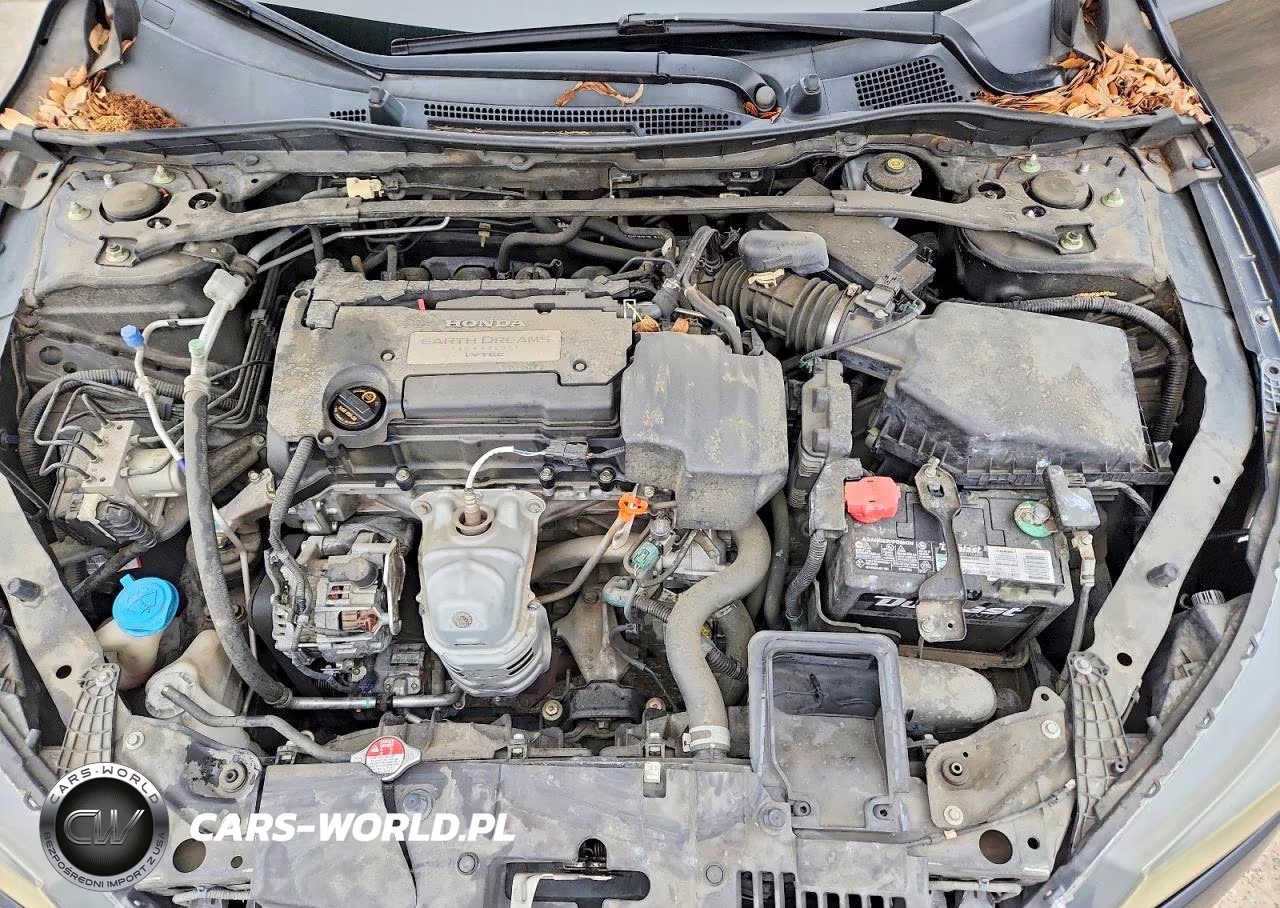 2013 Honda Accord Exl VIN:1HGCR2F85DA052365 - 11