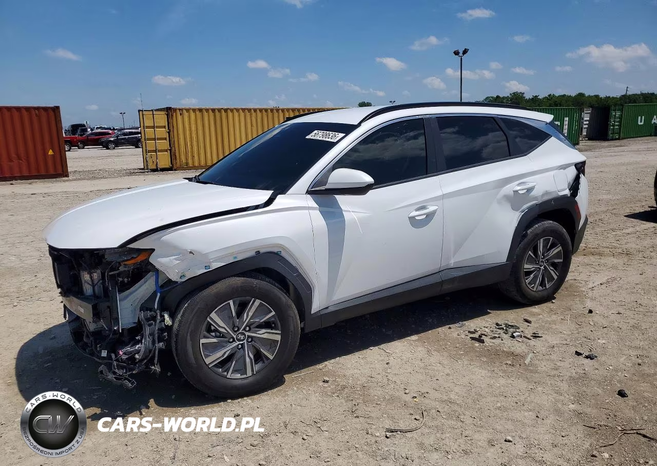 2024 Hyundai Tucson Blue VIN:KM8JBCD13RU232659 - 1