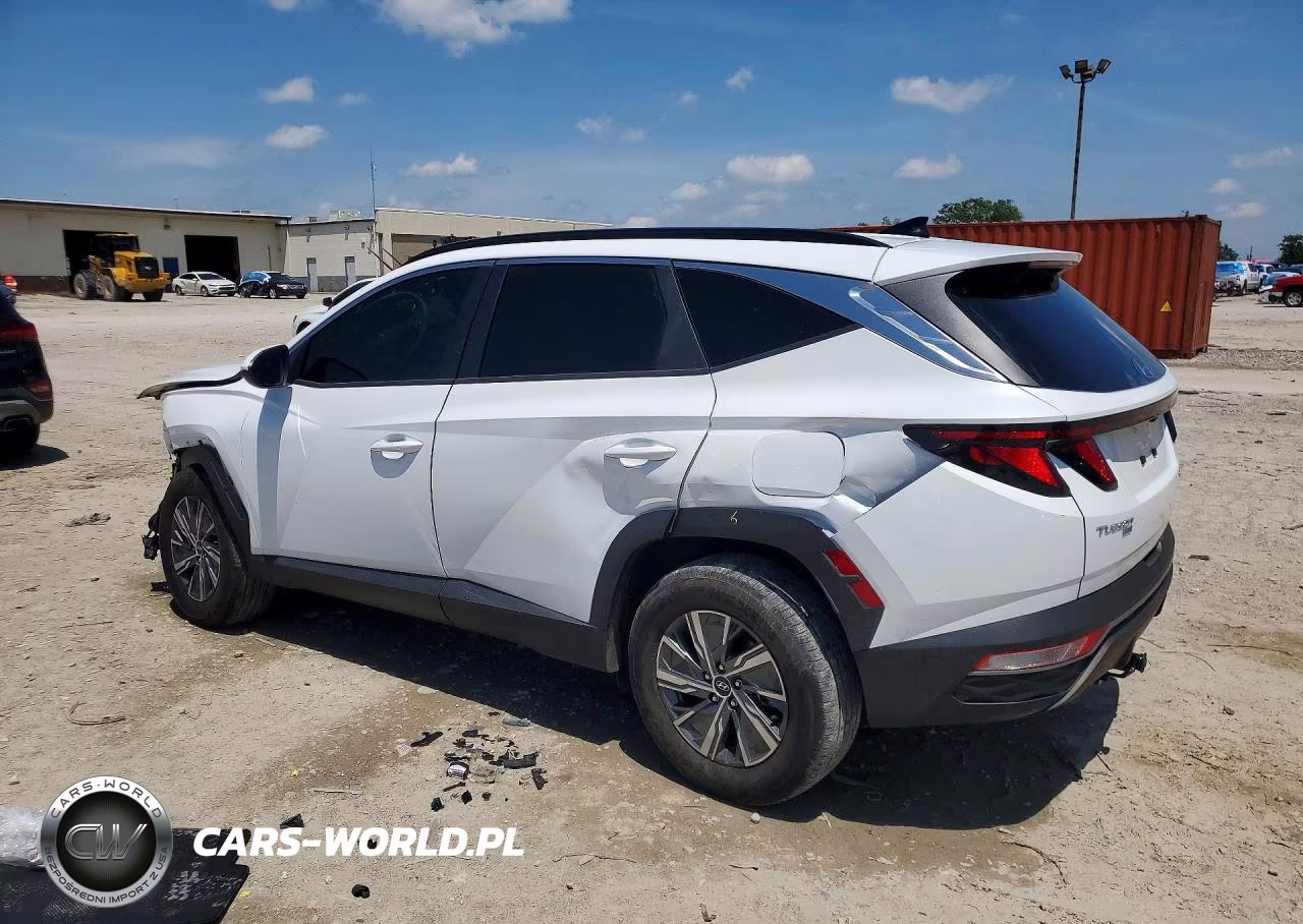 2024 Hyundai Tucson Blue VIN:KM8JBCD13RU232659 - 2
