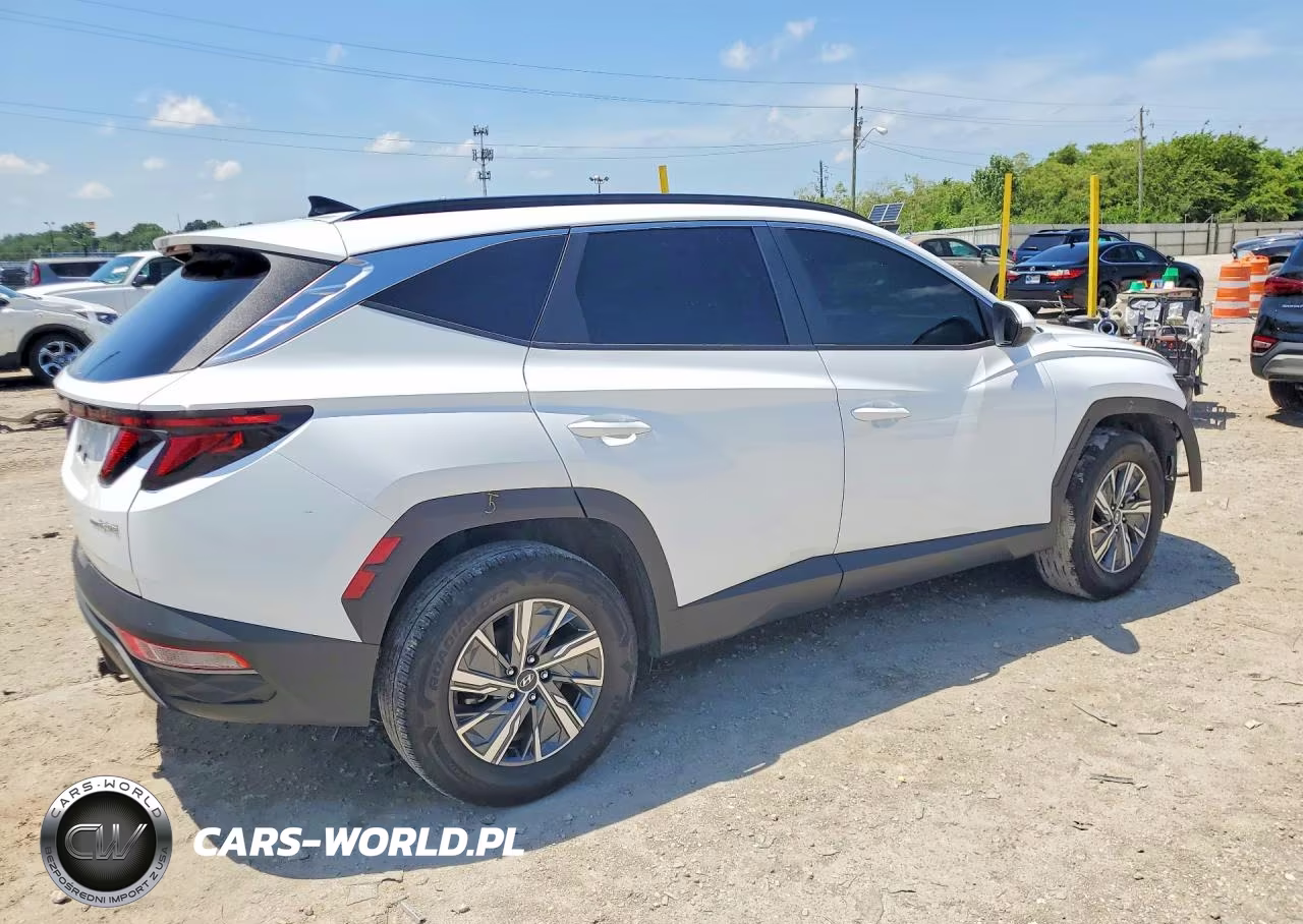 2024 Hyundai Tucson Blue VIN:KM8JBCD13RU232659 - 3