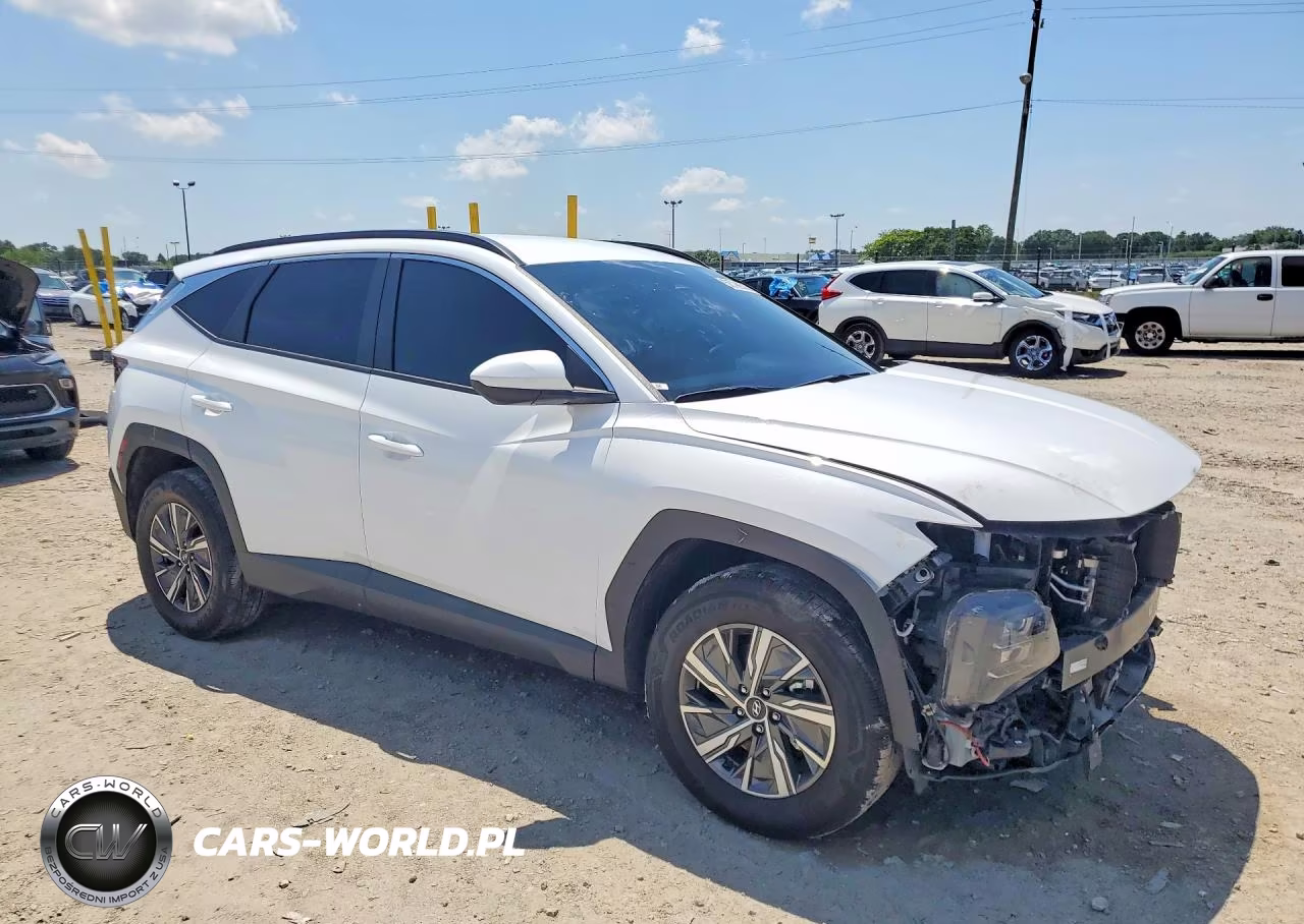 2024 Hyundai Tucson Blue VIN:KM8JBCD13RU232659 - 4