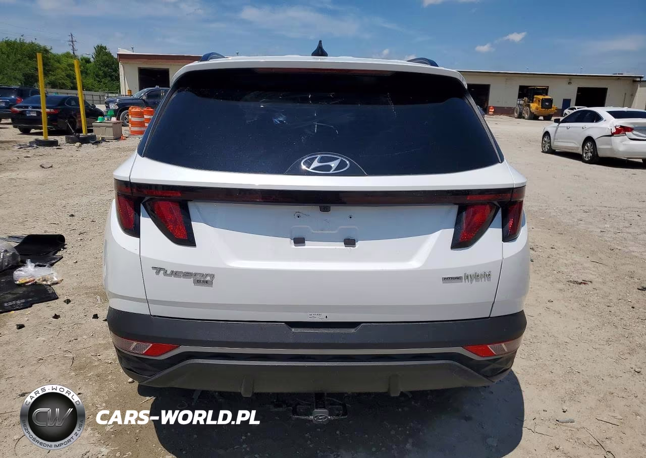 2024 Hyundai Tucson Blue VIN:KM8JBCD13RU232659 - 6
