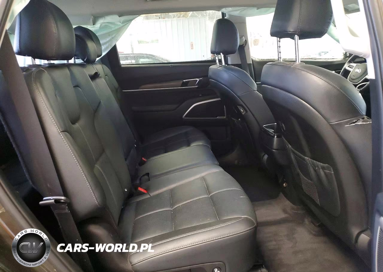2020 Kia Telluride Ex VIN:5XYP3DHC0LG027614 - 11