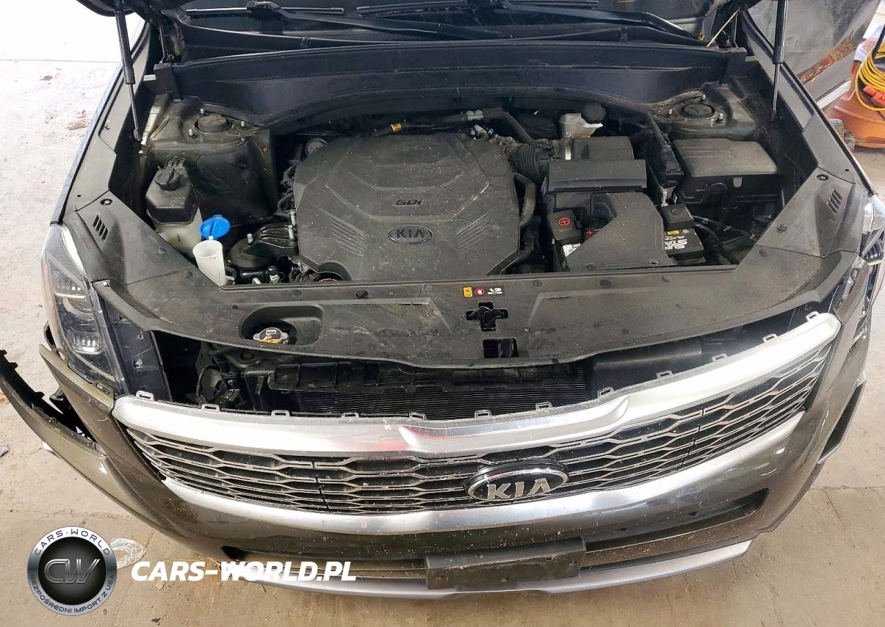 2020 Kia Telluride Ex VIN:5XYP3DHC0LG027614 - 12