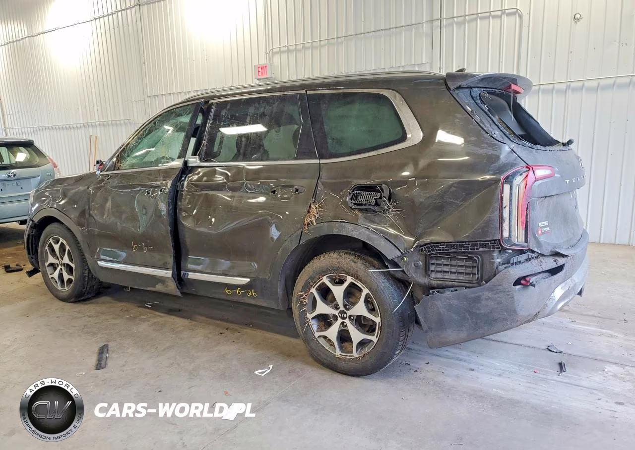 2020 Kia Telluride Ex VIN:5XYP3DHC0LG027614 - 2
