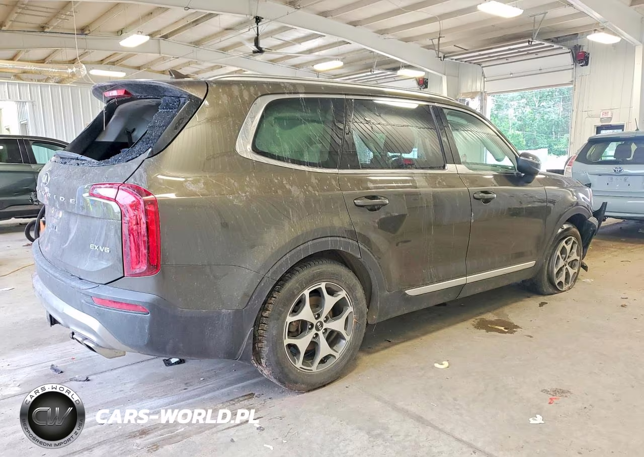 2020 Kia Telluride Ex VIN:5XYP3DHC0LG027614 - 3