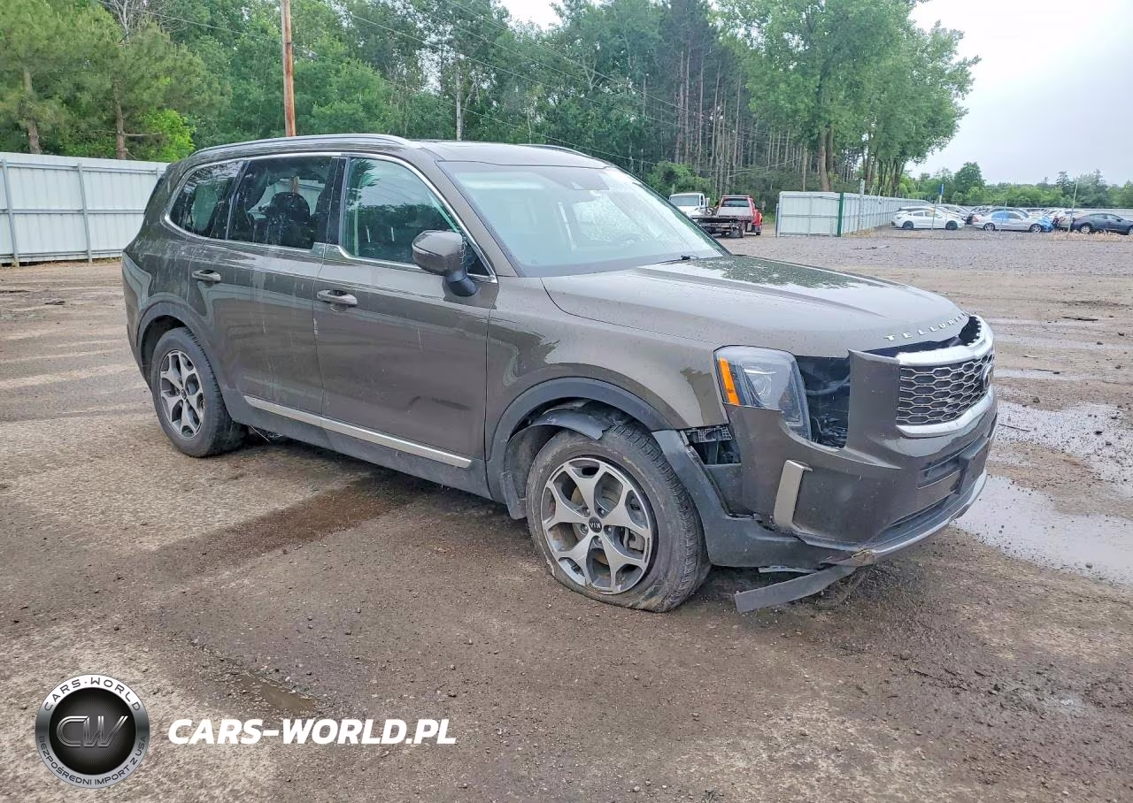 2020 Kia Telluride Ex VIN:5XYP3DHC0LG027614 - 4