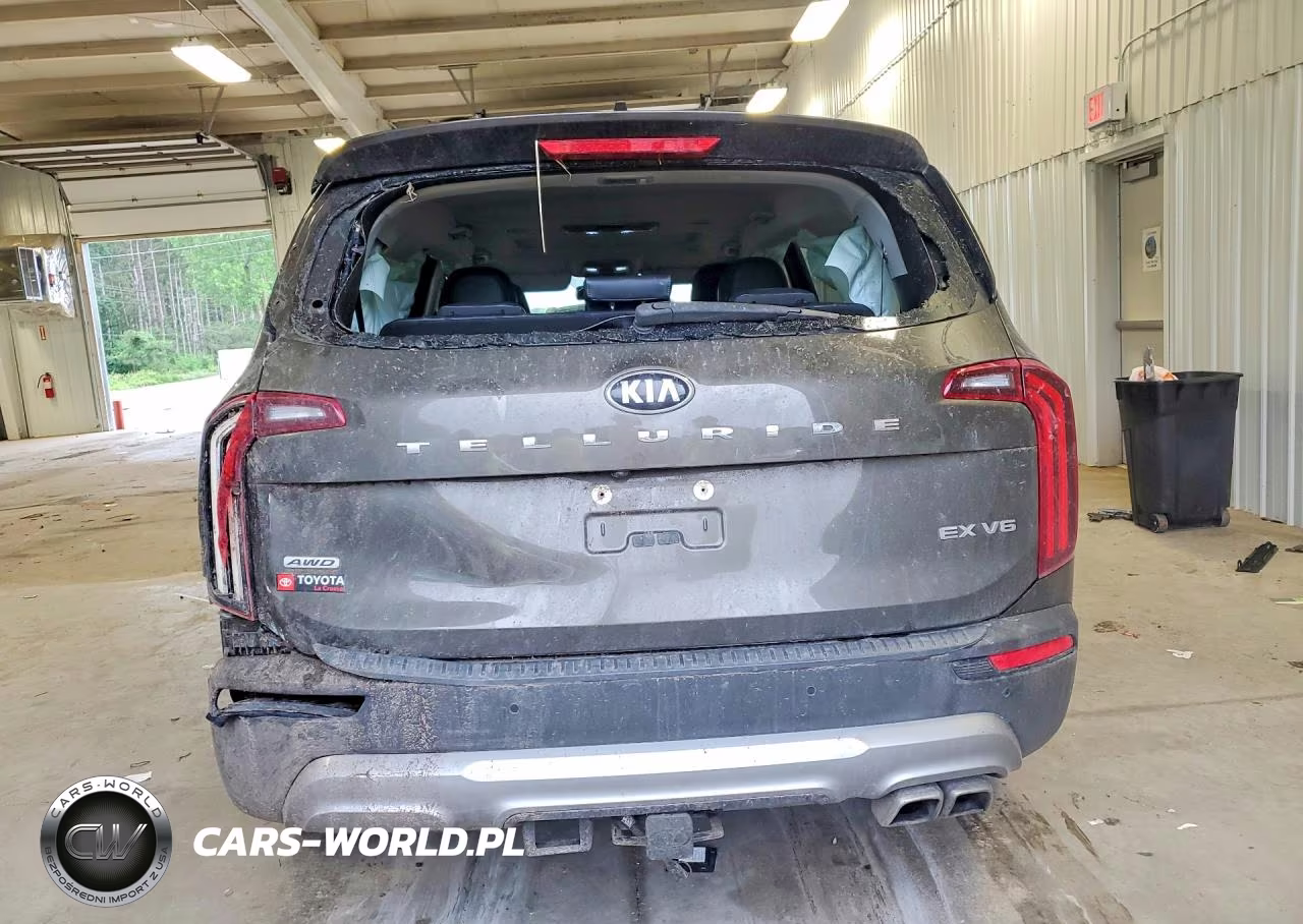2020 Kia Telluride Ex VIN:5XYP3DHC0LG027614 - 6