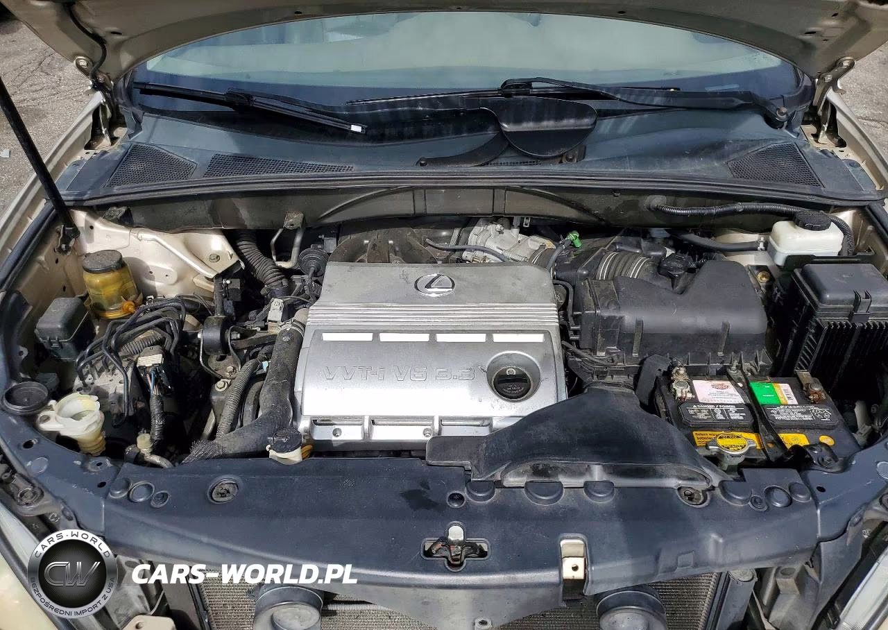 2004 Lexus Rx 330 VIN:2T2GA31U94C016882 - 12