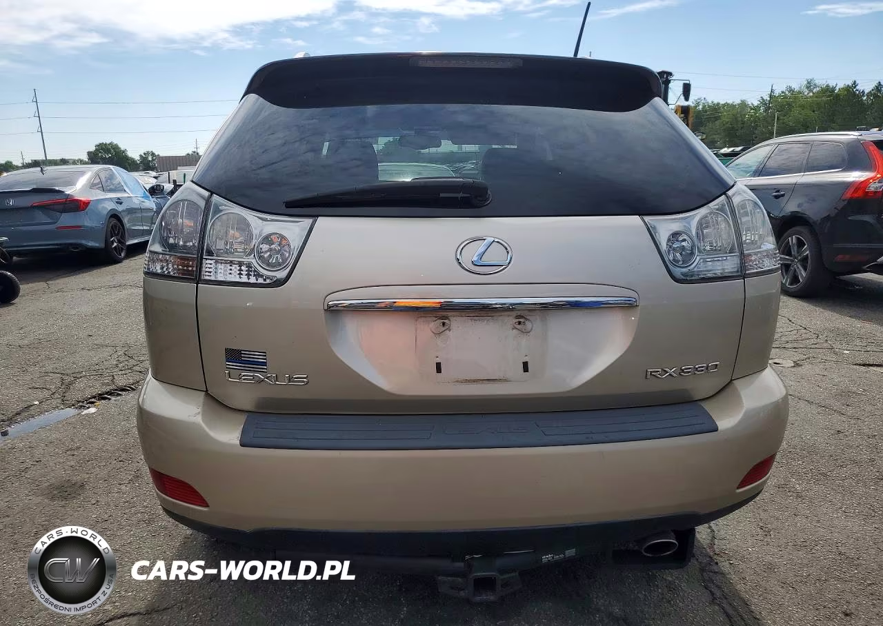 2004 Lexus Rx 330 VIN:2T2GA31U94C016882 - 6
