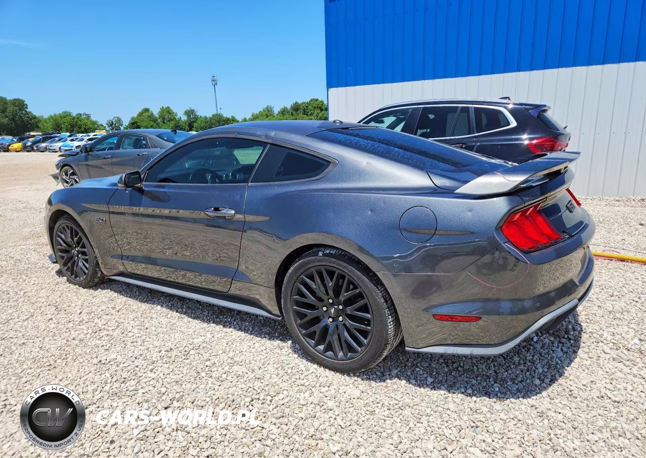2019 Ford Mustang Gt VIN:1FA6P8CF8K5147876 - 2