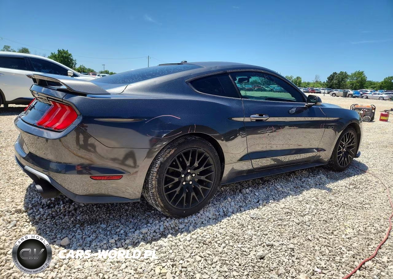 2019 Ford Mustang Gt VIN:1FA6P8CF8K5147876 - 3
