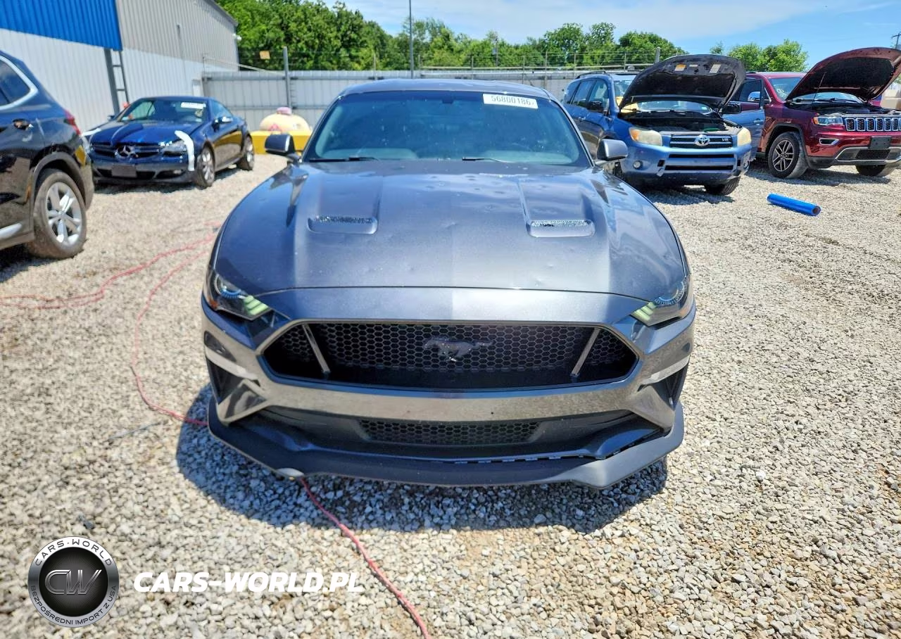 2019 Ford Mustang Gt VIN:1FA6P8CF8K5147876 - 5