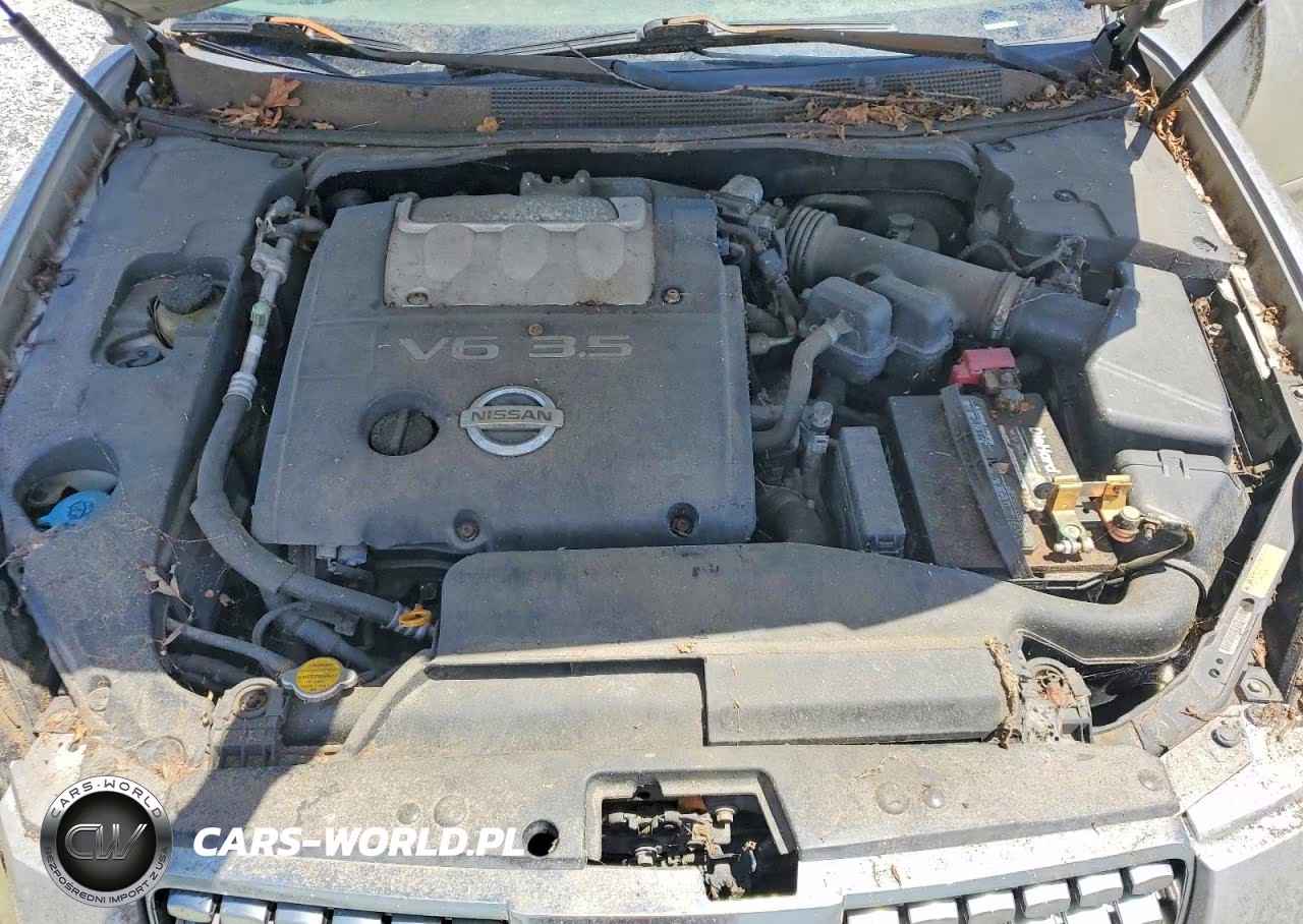 2004 Nissan Maxima 3.5 Se VIN:1N4BA41EX4C907016 - 11