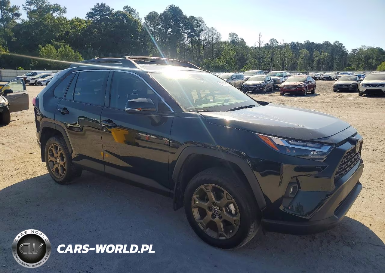 2023 Toyota Rav4 Woodland Edition VIN:2T3UWRFV6PW155858 - 4