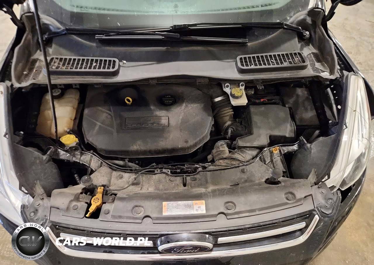 2014 Ford Escape Titanium VIN:1FMCU9J91EUA07683 - 12
