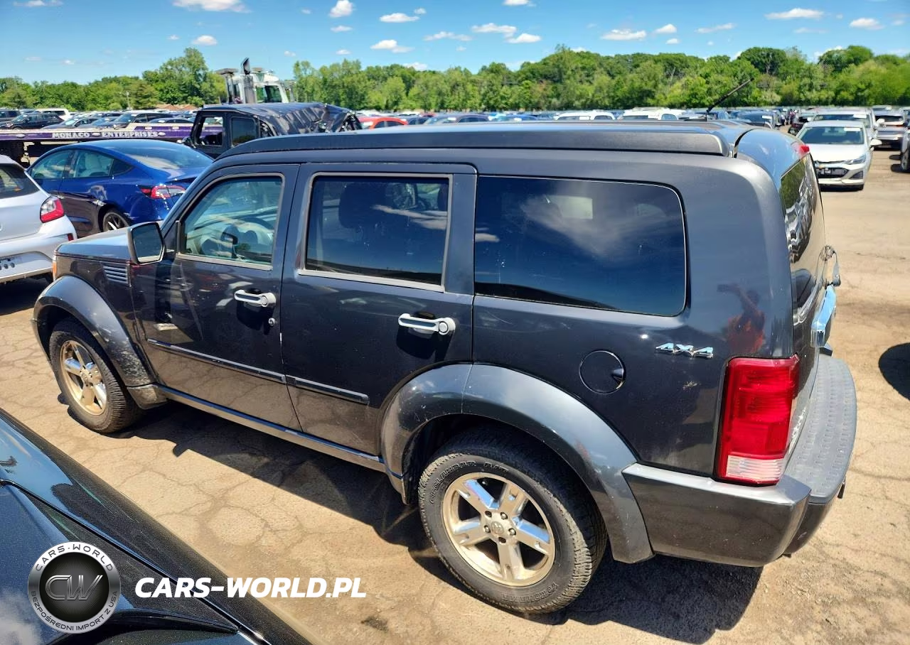 2010 Dodge Nitro Sxt VIN:1D4PU5GK9AW134756 - 2