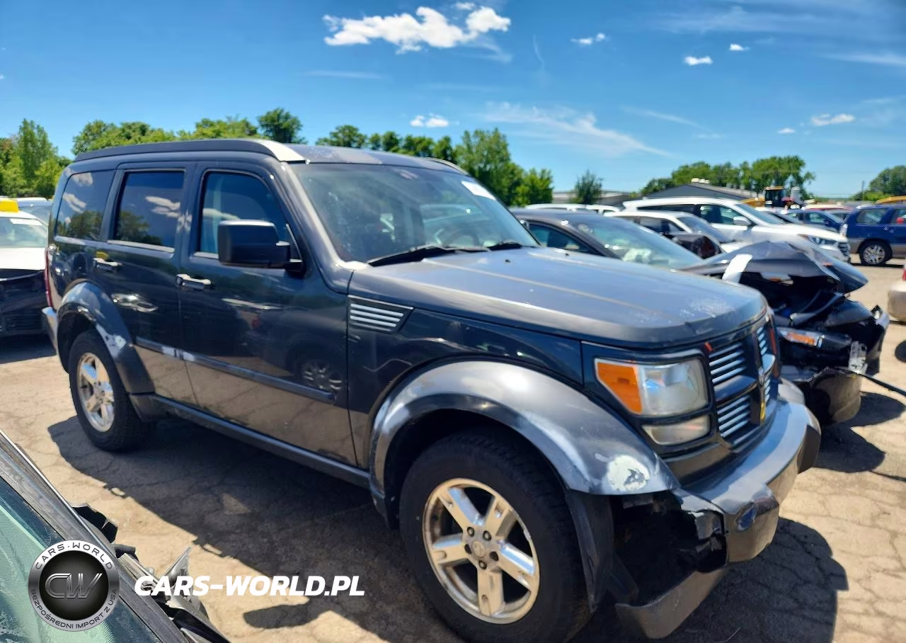 2010 Dodge Nitro Sxt VIN:1D4PU5GK9AW134756 - 4