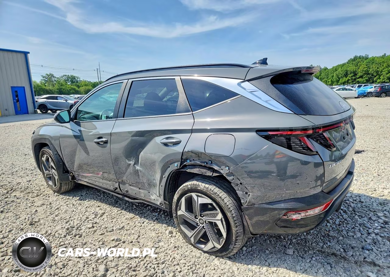 2024 Hyundai Tucson Sel VIN:5NMJFCDE8RH391941 - 2