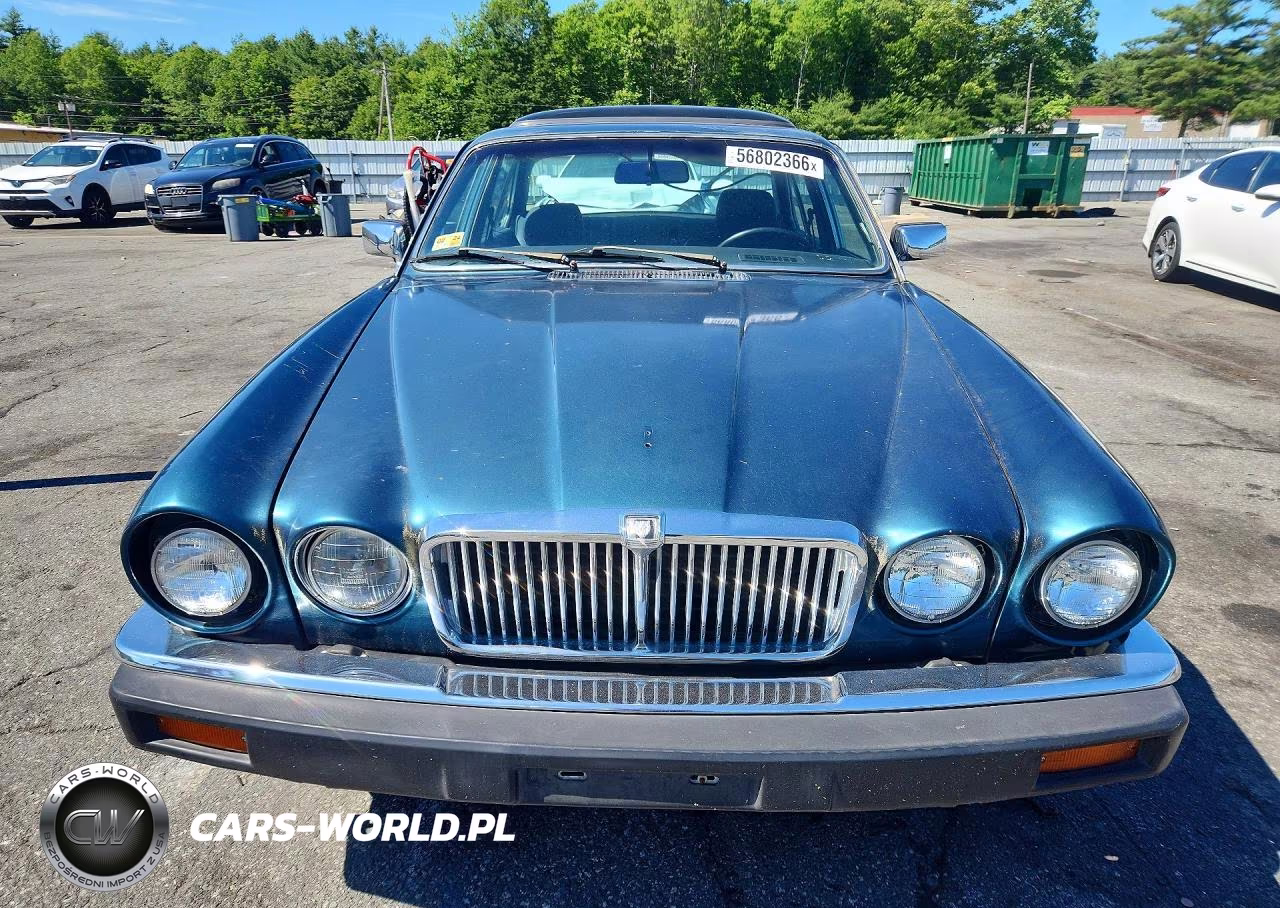 1985 Jaguar Xj6 VIN:SAJAV1347FC411771 - 5