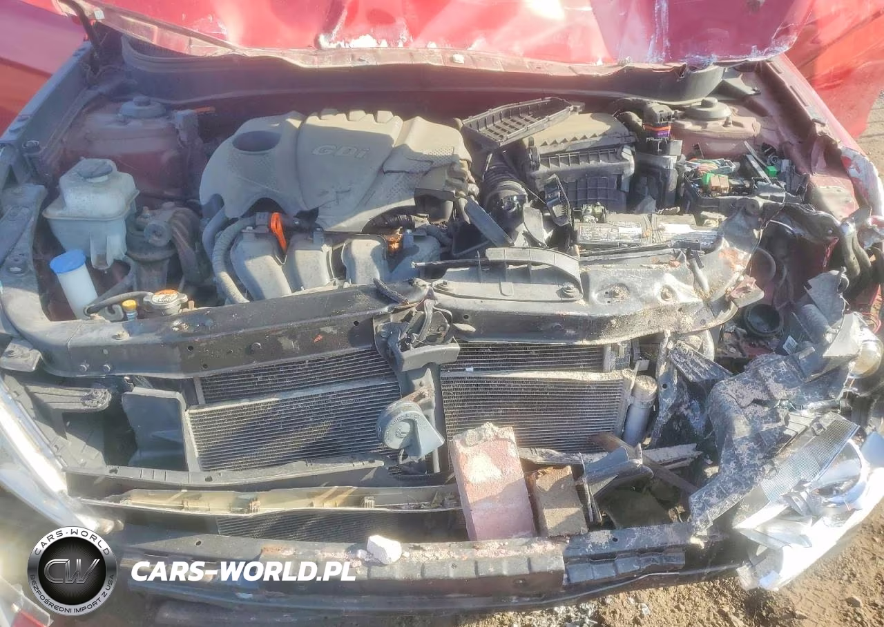 2014 Hyundai Sonata Gls VIN:5NPEB4AC1EH853002 - 11