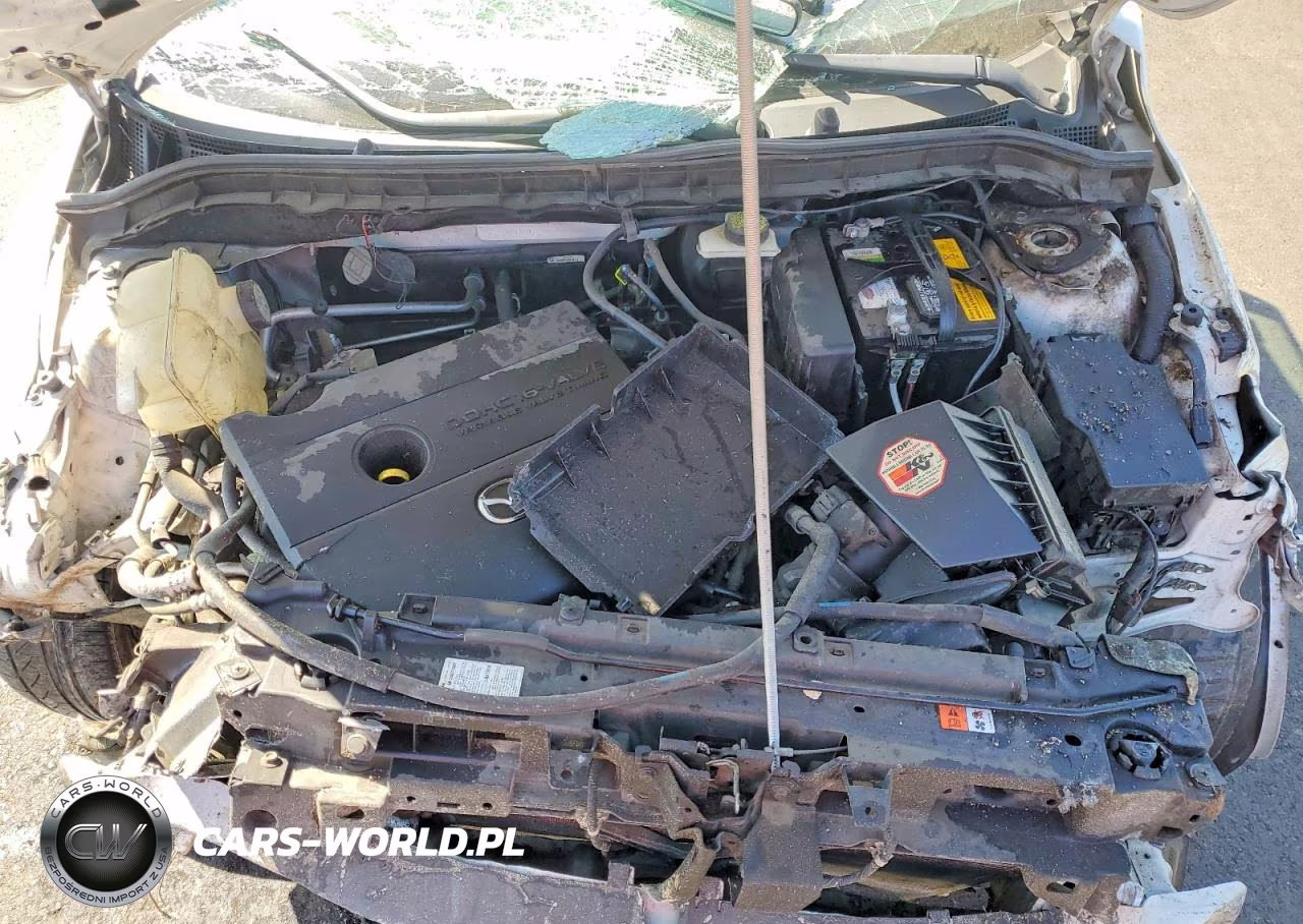 2010 Mazda 3 I VIN:JM1BL1SG5A1240396 - 11