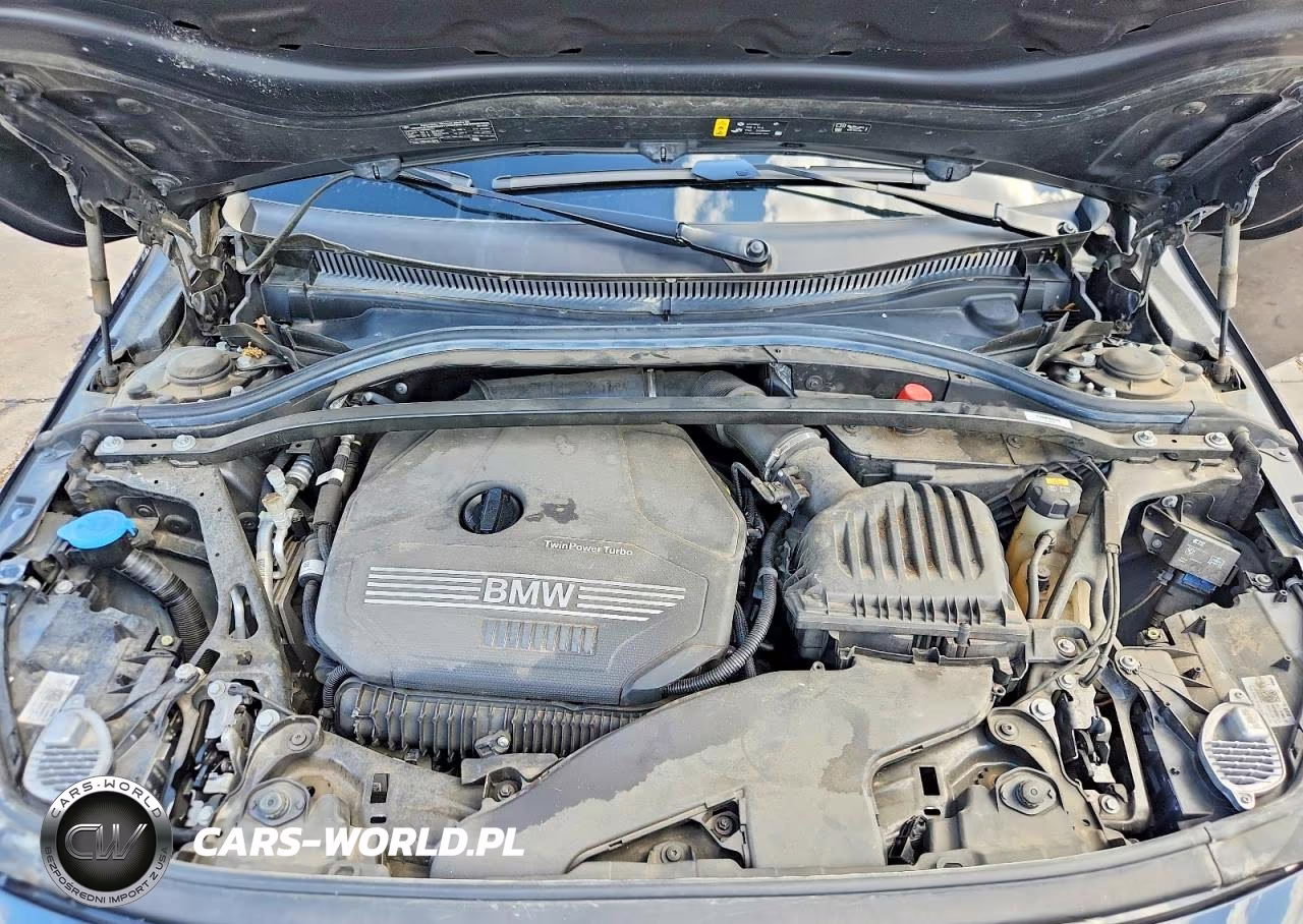2020 BMW 228Xi VIN:WBA73AK03L7F57313 - 11