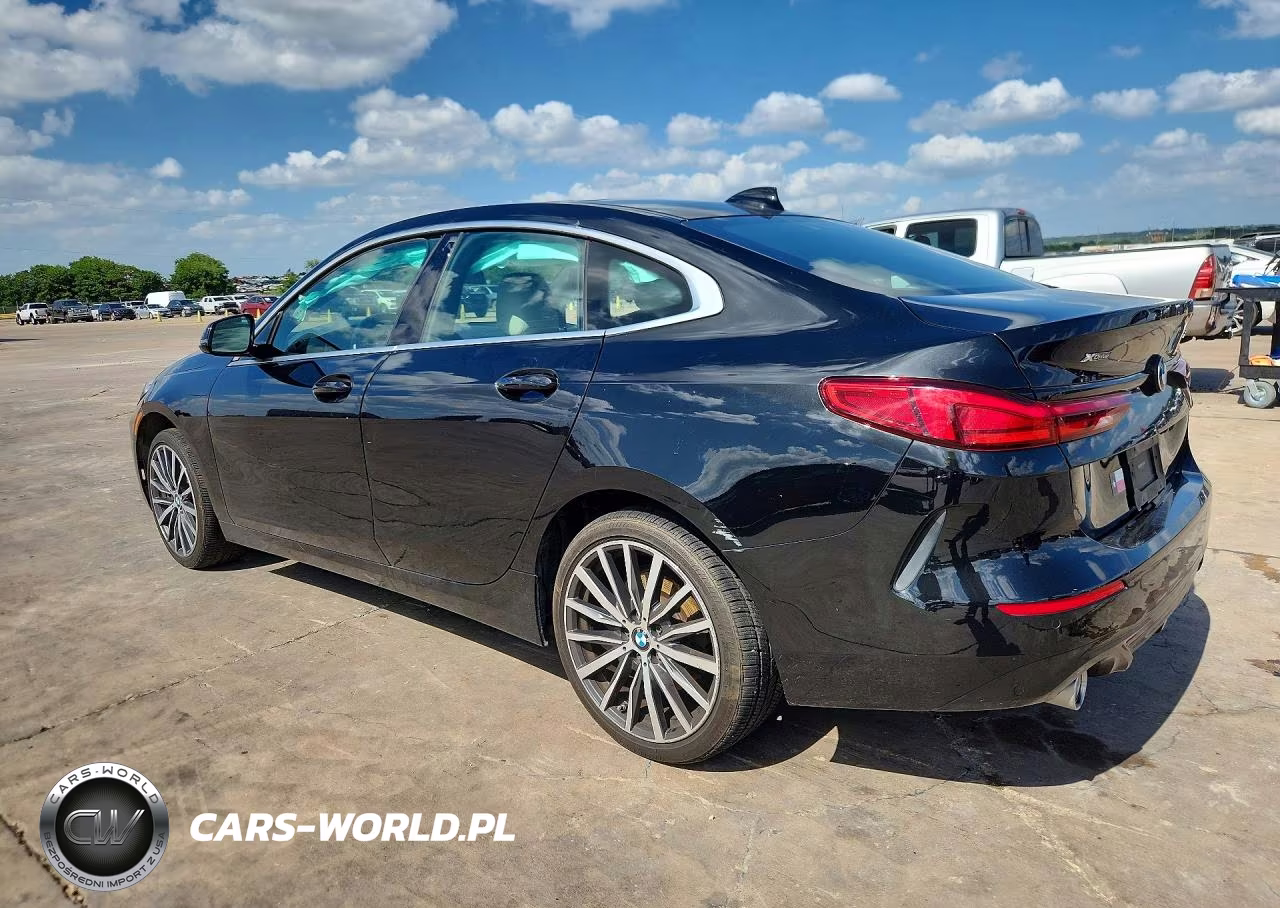 2020 BMW 228Xi VIN:WBA73AK03L7F57313 - 2