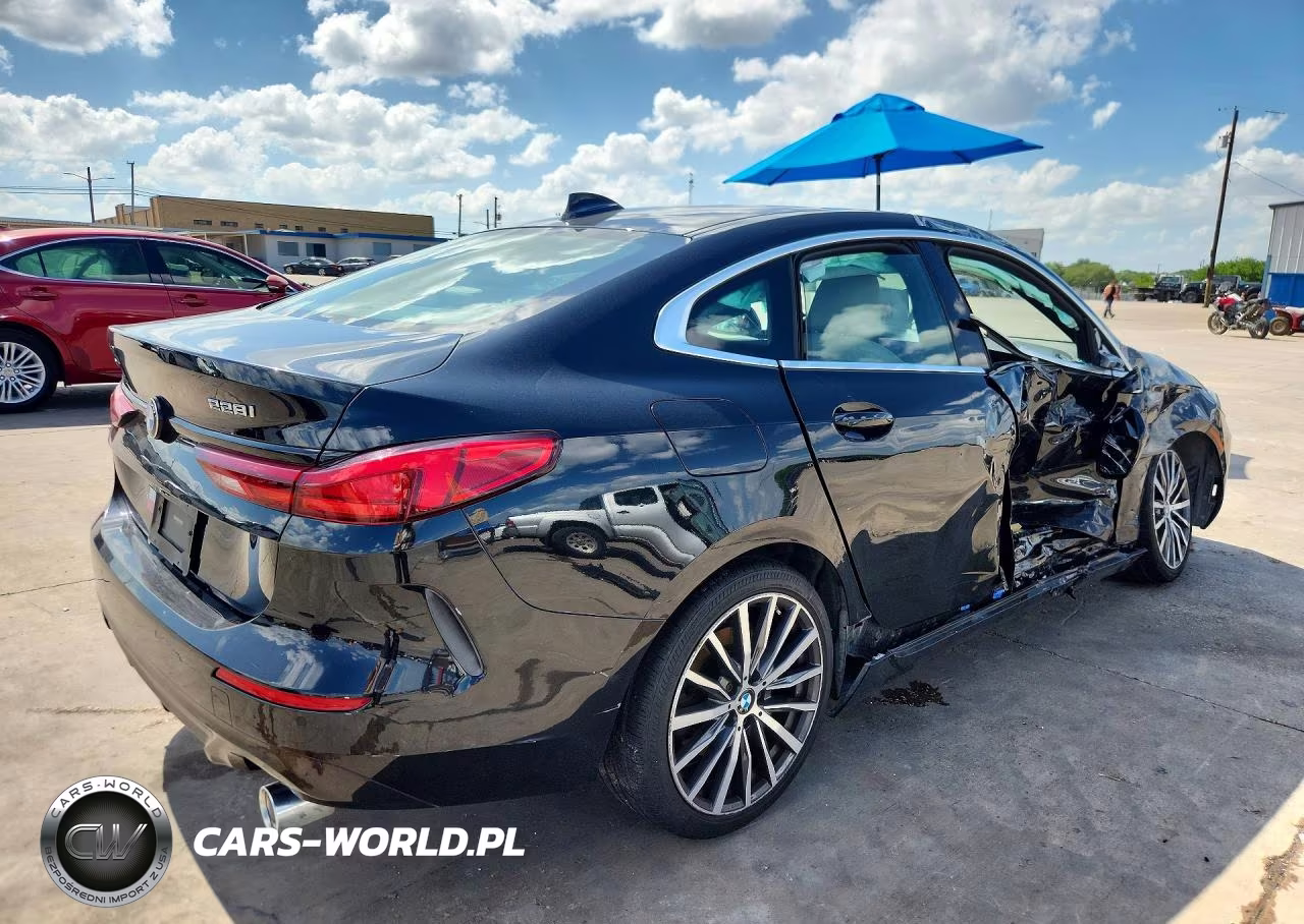 2020 BMW 228Xi VIN:WBA73AK03L7F57313 - 3