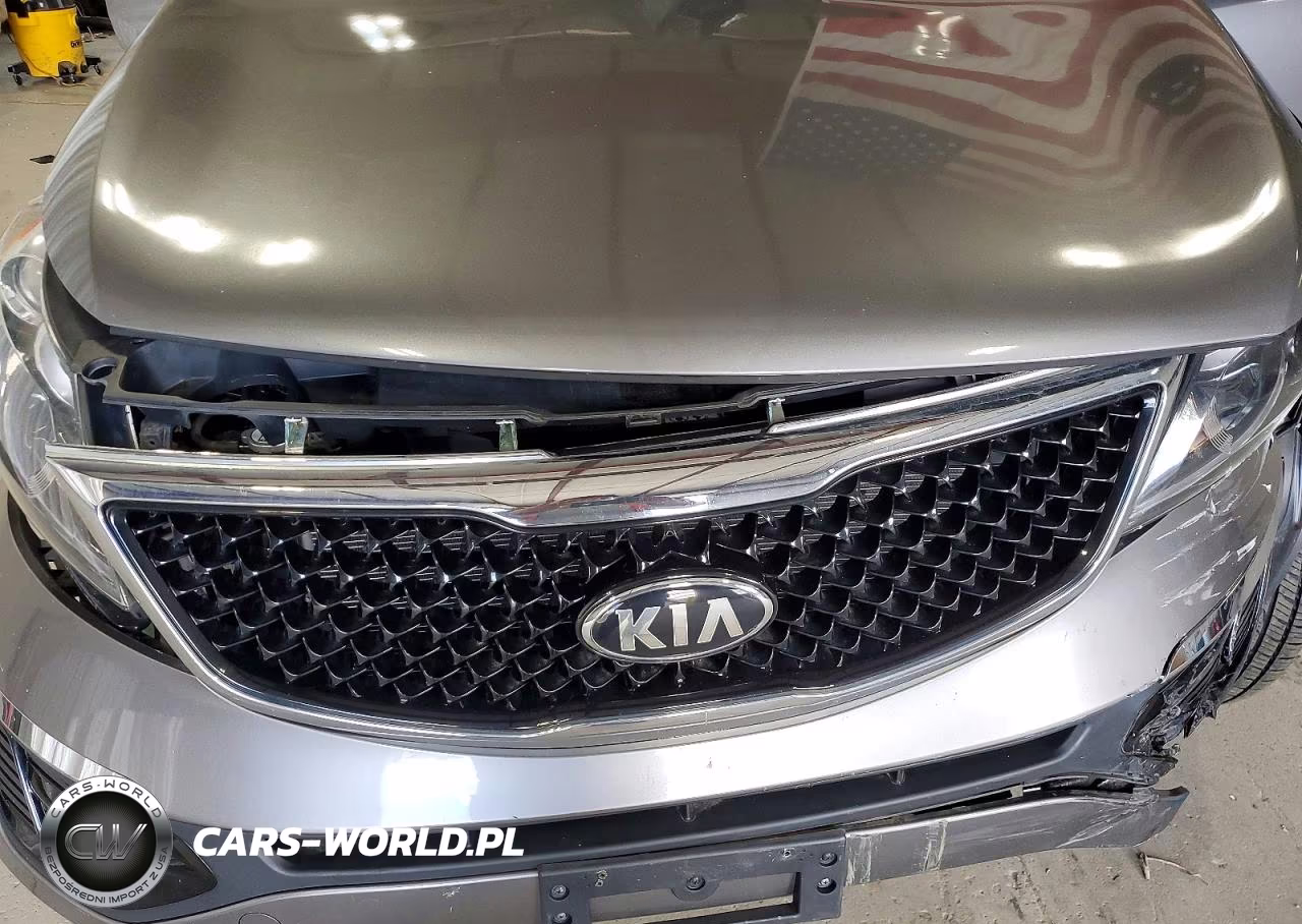 2016 Kia Sportage Lx VIN:KNDPBCAC6G7870260 - 12