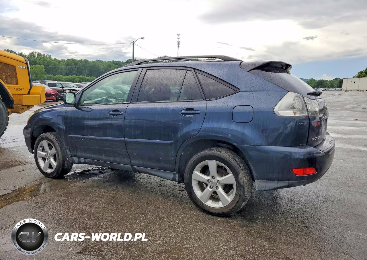 2004 Lexus Rx 330 VIN:JTJHA31U840040431 - 2