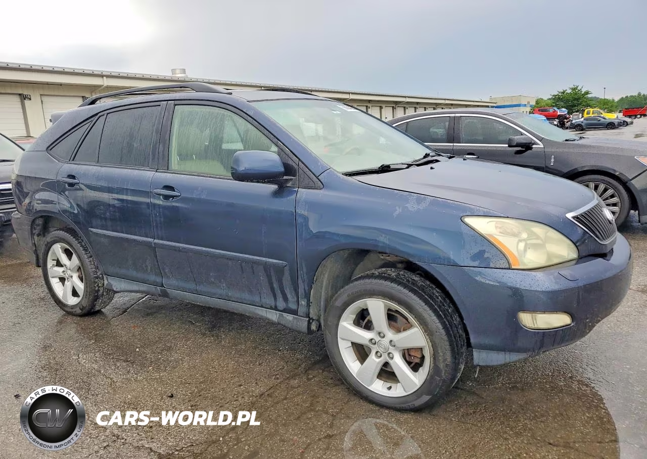 2004 Lexus Rx 330 VIN:JTJHA31U840040431 - 4