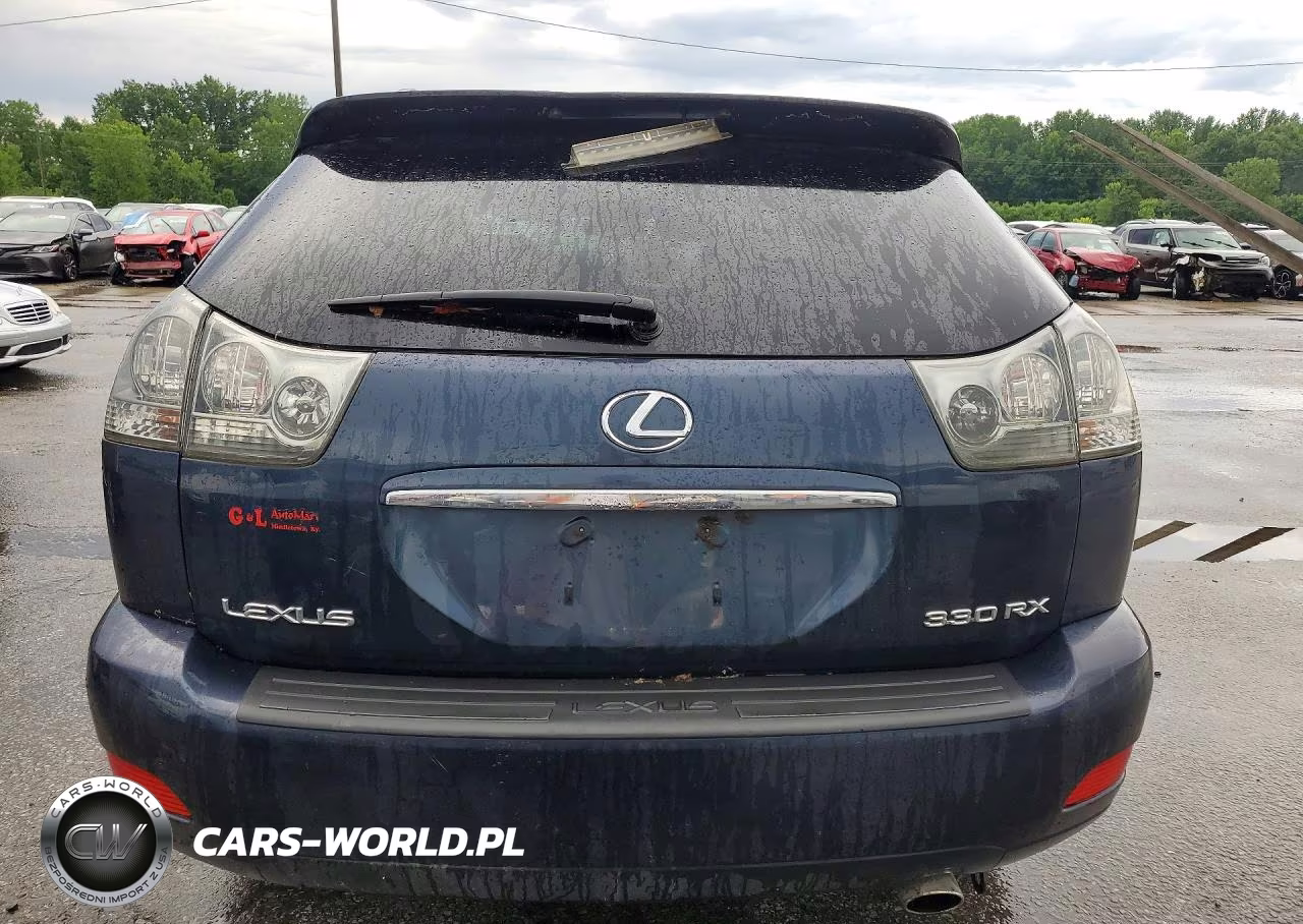 2004 Lexus Rx 330 VIN:JTJHA31U840040431 - 6