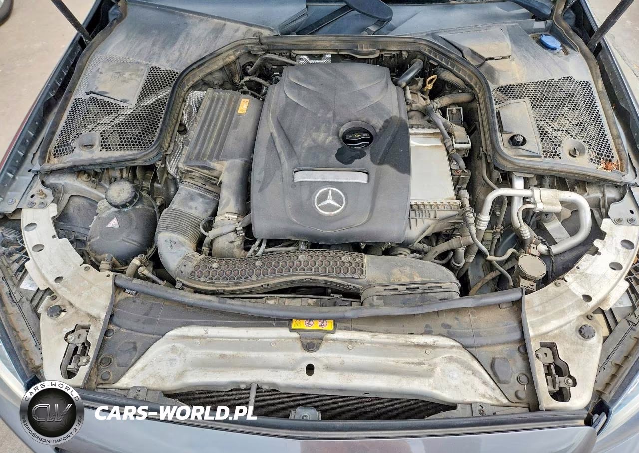 2017 Mercedes-Benz C 300 VIN:WDDWJ4JB1HF509589 - 11
