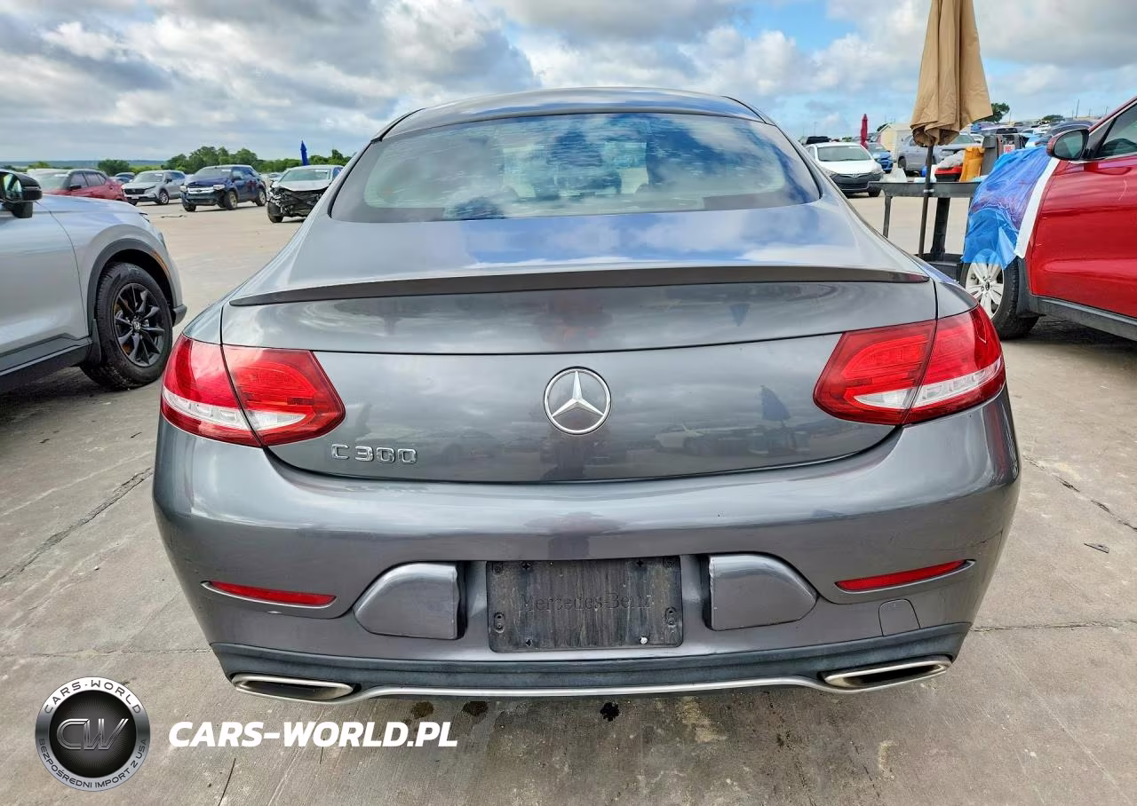 2017 Mercedes-Benz C 300 VIN:WDDWJ4JB1HF509589 - 6