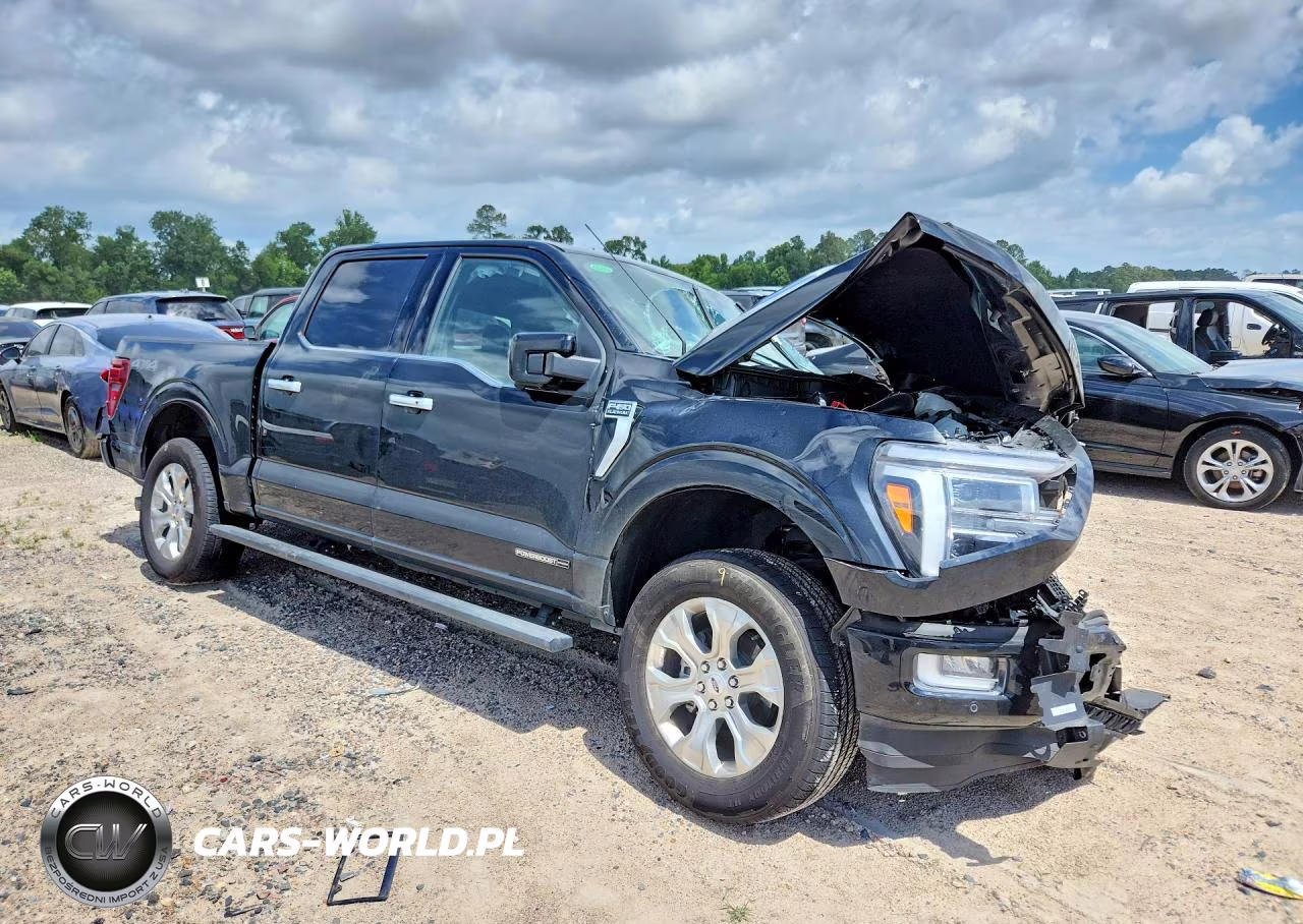 2026 Ford F150 Platinum VIN:1FTFW7LD2TFA12880 - 4